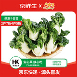 京鲜生供港奶白苗250g 奶白菜苗 煲汤炒菜新鲜采摘广东源头直发