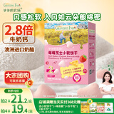 爷爷的农场芝士莓莓小软饼干 宝宝儿童零食澳洲干酪 出行便携60g