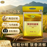 伴永康罗浮丝苗米10斤  长粒香米  当季新米 丝苗米 煲仔饭大米