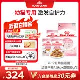 皇家猫粮 幼猫猫粮 干湿搭配 K36 4.5kg+啫喱肉冻KJP 85G*3