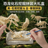 尚美贝贝儿童考古挖掘恐龙玩具模型手工diy玩具拼接石膏盲盒3-6岁六一礼物