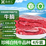 西鲜汇甘肃白牦牛 新鲜原切牛腩净重4斤 牛肉生鲜炖煮食材 源头直发