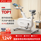 麦瑞克（MERACH）动感单车自发电家用智能调阻运动健身器材室内静音自行车 绝影ONE 自发电-10KG飞轮组-白色