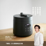 olayks立时电压力锅小型2.5L电高压锅2-4人智能调压高压焖煮开盖收汁迷你压力电饭煲汤锅多功能电饭煲 岩黑 2.5L 【单胆】