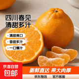 四川不知火丑柑香甜多汁清甜爽口当季耙耙柑橘子桔子 带箱10斤【净重9斤】大果75mm+