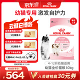皇家幼猫猫粮 幼猫奶糕 K36 通用粮 4-12月 10KG