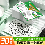 锐本粘蝇纸30张粘蚊子苍蝇纸沾蝇板强力苍蝇贴灭杀果蝇小飞虫捕蝇神器