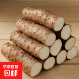 鲜铁棍山药 铁杆淮山药 河南焦作怀府特产铁棍怀山药 新鲜铁棍山药净重3斤