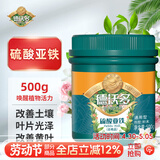 德沃多硫酸亚铁500g植物通用型花肥料杜鹃养花铁肥月季茉莉发财树颗粒