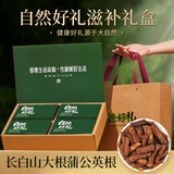 冬海红蒲公英根茶礼盒400g 婆婆丁根泡水花草养生茶送爸妈长辈中秋节