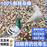 特级新鸽粮鸽子粮无玉米鸽粮有玉米鸽子饲料赛飞营养信鸽成幼鸽粮 无玉米有豌豆鸽粮 50斤