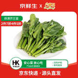 京鲜生&东升供港芥兰苗250g芥蓝 新鲜采摘炒菜火锅食材 广东源头直发