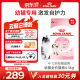 皇家幼猫猫粮 幼猫奶糕 K36 通用粮 4-12月 4.5KG