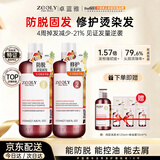 卓蓝雅生姜侧柏叶防脱固发洗发水800ml+护发素800ml（洗护双效套装）