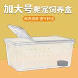 龟真寿爬宠饲养盒加大号  角蛙蜈蚣蝎子蜘蛛饲养盒宠物蛇饲养箱乌龟蜗牛