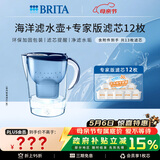 碧然德（BRITA）过滤净水器 家用滤水壶 净水壶 Marella 海洋系列+专家版滤芯12枚（含附件）