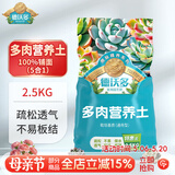 德沃多多肉营养土2.5KG阳台种植土壤花土植物颗粒土铺面石(100%颗粒)