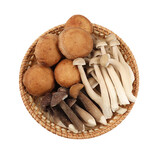 烧烤拼盘250g（香菇、鸡枞菌、鹿茸菇）
