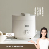 olayks立时 电压力锅 高压锅 家用多功能高压电饭锅快煮智能预约小型 3升适用3-5人双胆 YBW3001B