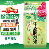 十月稻田 当季新米 胚芽米 3斤 东北大米 杂粮伴侣 粥米