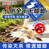 巨奇蟑螂药特效强力全窝端虫卵双杀除灭防杀蟑螂胶饵剂神器杀虫粉10包
