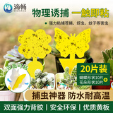 滴畅双面粘虫板黄板诱虫板室内小飞虫诱捕器果园花圃灭苍蝇贴 20张