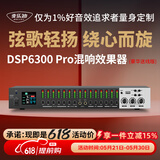 麦乐迪DSP6300卡拉ok混响器 数字音频前级效果器 家庭影院防啸叫调音台处理器含话筒 调音台均衡器 DSP6300 Pro豪华升级版(含线) 标准版