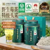 贡苑 地理标志产品】张家界野生莓茶250g特优芽尖龙须霉藤茶富硒
