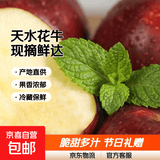 甘肃天水花牛苹果现摘平安果礼盒装节日送礼