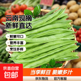 农家四季豆新鲜现摘云南长扁豆角农家应当季蔬菜芸豆现摘菜豆 新鲜四季豆3斤带箱