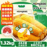 东北农嫂黄糯玉米穗1.32kg约6穗软糯香低脂粗粮出口品质吉林原产 【软糯香】黄糯玉米穗1.32kg 约6穗