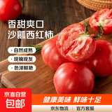山东新鲜沙瓤大番茄西红柿减肥早餐即食新鲜蔬菜生鲜单果＞100g 试吃装 1斤