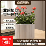 陶瓷花盆绿植盆栽亚光北欧风简约花盆大号桌面绿植盆送塑料托盘 白色 中号（13*13*12.3）