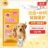宝路狗零食磨牙棒幼犬狗狗钙奶棒60g*3包狗狗泰迪茶杯犬柯基