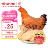 温氏供港黄油鸡净重2斤 110天 冷冻黄油母鸡农家土鸡整鸡 炸鸡鸡肉
