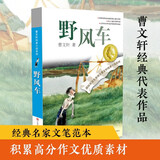 曹文轩纯美小说：野风车/国际安徒生奖得主曹文轩中短篇小说集代表作，关注少年儿童幽微而丰富的心灵世界，广受赞誉。 