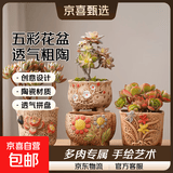 花盆绿植盆栽大口径拼盘多肉陶瓷素烧透气粗陶桌面绿植手绘小花盆 五彩花朵组合5个 【看图标注】