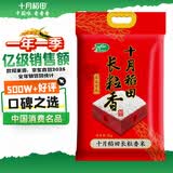 十月稻田 当季新米 长粒香大米 10斤（东北大米 香米 5公斤/十斤