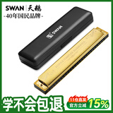 天鹅（SWAN）口琴24孔复音C调音位标注乐器学生成人专业演奏口琴金色