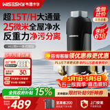 WISESKY韦思卡尔反重力前置过滤器大通量全屋家用前十名反冲洗净水器80T上门安装