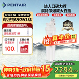 滨特尔（pentair）大白瓶前置过滤器 全屋家用自来水过滤器 前置净水器大蓝瓶 中央净水机大流量大胖瓶高精度 【20寸大白瓶】包安装