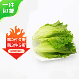 京鲜生新鲜罗马生菜 净重450g 简装 新鲜蔬菜源头直发