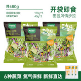 一号农场开袋即食田园风情沙拉120g*3芝麻汁蔬菜沙拉轻食健身代餐源头直发