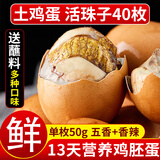 岽鲜活珠子新鲜13天五香香辣味开袋即食毛蛋活珠子鸡胚蛋熟钢化蛋鸡蛋 五香20+香辣20 共40枚