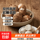 牛奶芋头小芋头软糯香甜毛芋头蔬菜香芋芋艿现挖新鲜蔬菜 牛奶小芋头 净重 9斤装 单果20g起
