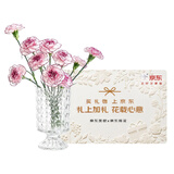 京东鲜花雪山玫瑰随机色10枝鲜花520礼物送家人爱人
