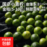 海南小金桔新鲜青柠檬青柑皮薄应当季奶茶店水果柠檬青桔皮薄多汁 金桔（5-10g）250g