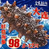 皇家麒麟 即食海参 即食大连刺参单个装辽刺参海参干货水产礼盒净含量500g 7A鲜食海参 8-12只/斤-家庭首选 一斤【尝鲜装】