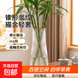 特大号玻璃花瓶桌面插花水养鲜花富贵竹高花瓶ins风客厅装饰摆件 【28高透明描金】锥桶竖条纹