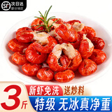 北极滩特大龙虾尾冷冻生鲜大特级湖北海鲜虾类麻辣虾球烧烤食材年货 特级【无冰衣】3斤 约90尾/斤 送调料